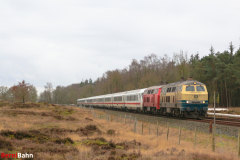 1_IMG_6432Bearbeitet-2