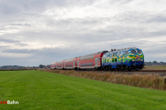 Donna am RE 6 Höhe Meldorf im Oktober 2025