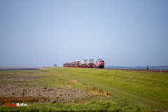20260907-IMG_7941