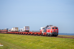20260907-IMG_7952