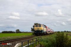 20260910-IMG_8775