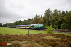 20261008-IMG_8860