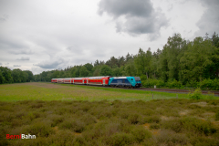 20250607-IMG_0867
