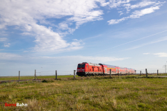 20260907-IMG_7660