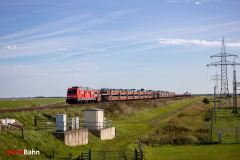 20260907-IMG_7816