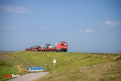 20260907-IMG_7899