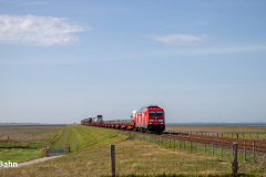 20260907-IMG_8078