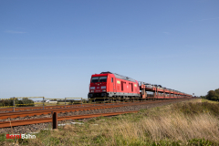 20260907-IMG_8239
