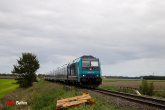 20260910-IMG_8689