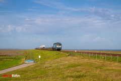 20260907-IMG_7687