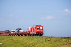 20260907-IMG_7900