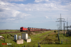 20260907-IMG_7940