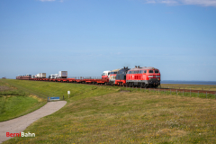 20260907-IMG_7954