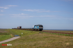 20260907-IMG_8001
