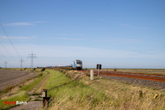 20260907-IMG_8176