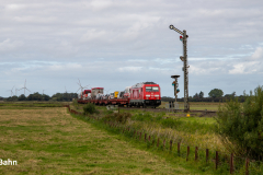 20260910-IMG_8457