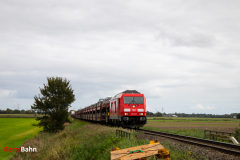 20260910-IMG_8744