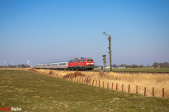 IMG_0816