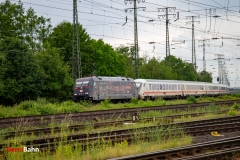 IMG_5164
