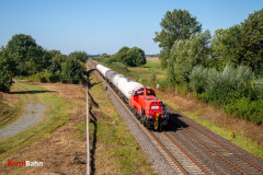 20260825-IMG_7322