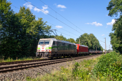 20260825-IMG_7565