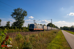 20260825-IMG_7580