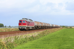 Güterzug Ludmilla 2019