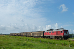 Güterzug Umleiter 2015